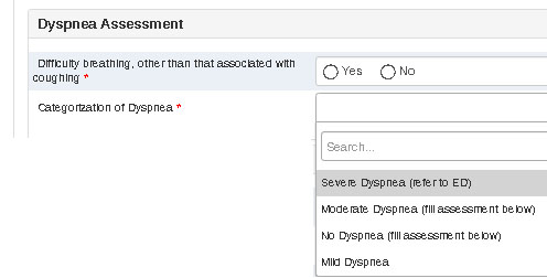 Dyspnea Ass describe